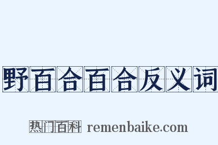 野百合百合反义词是什么意思的图片